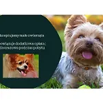 Appartamento Morskie Widoki Z Klifu