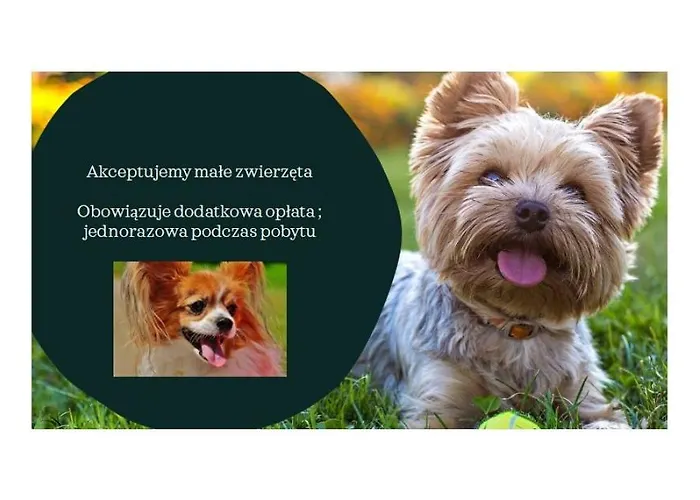 Апартаменты Morskie Widoki Z Klifu